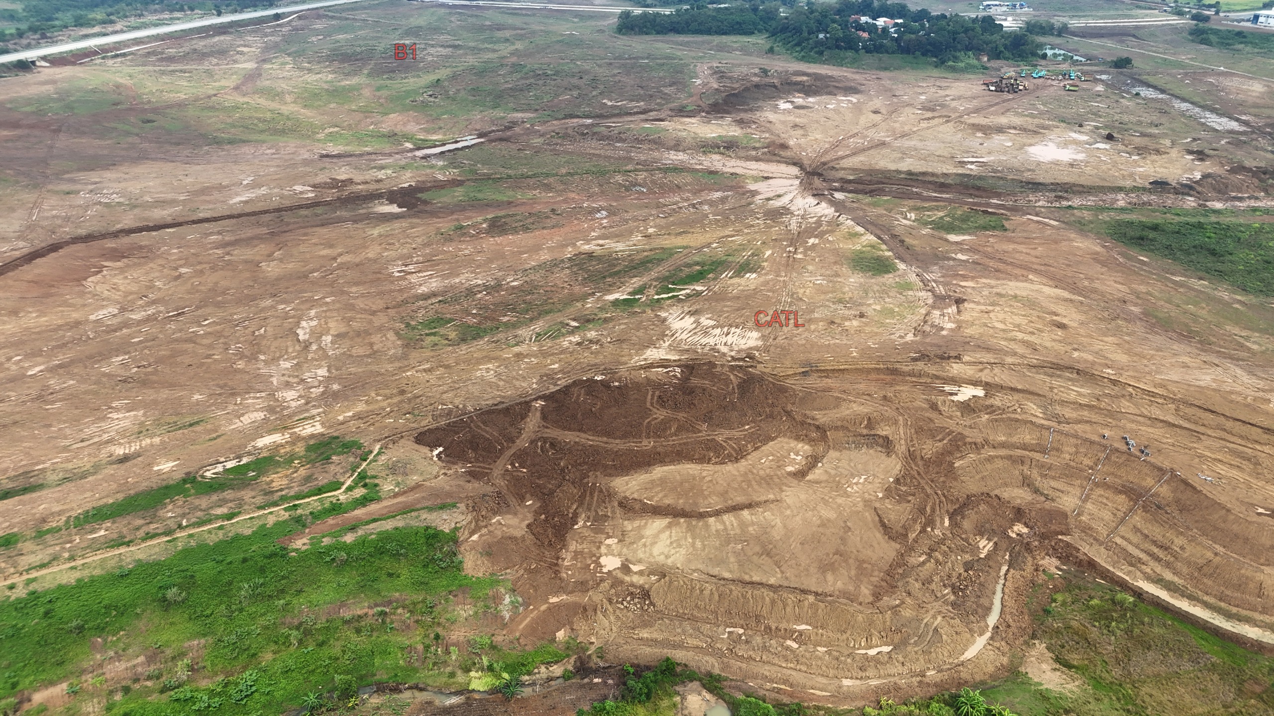 Area C1